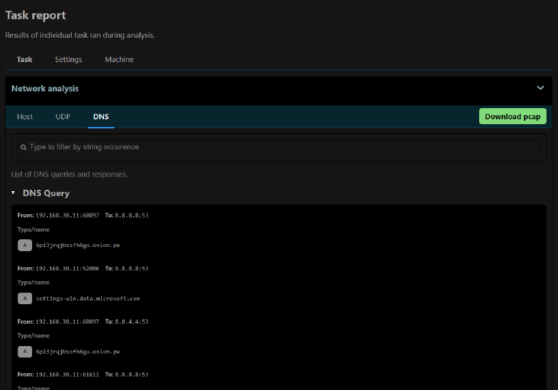 Cuckoo3 DNS Query