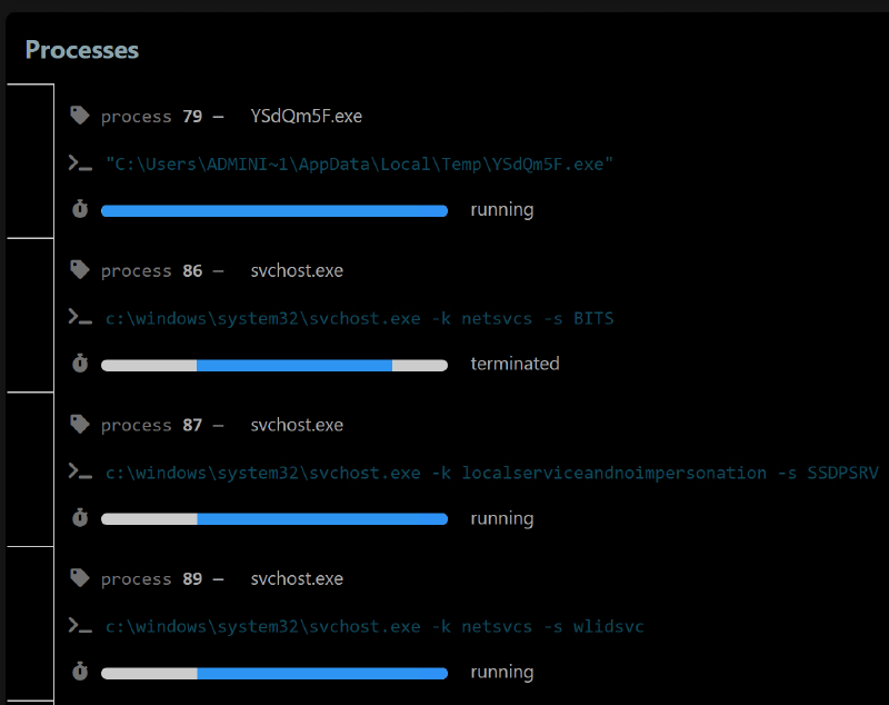 Cuckoo3 Vidar - process tree