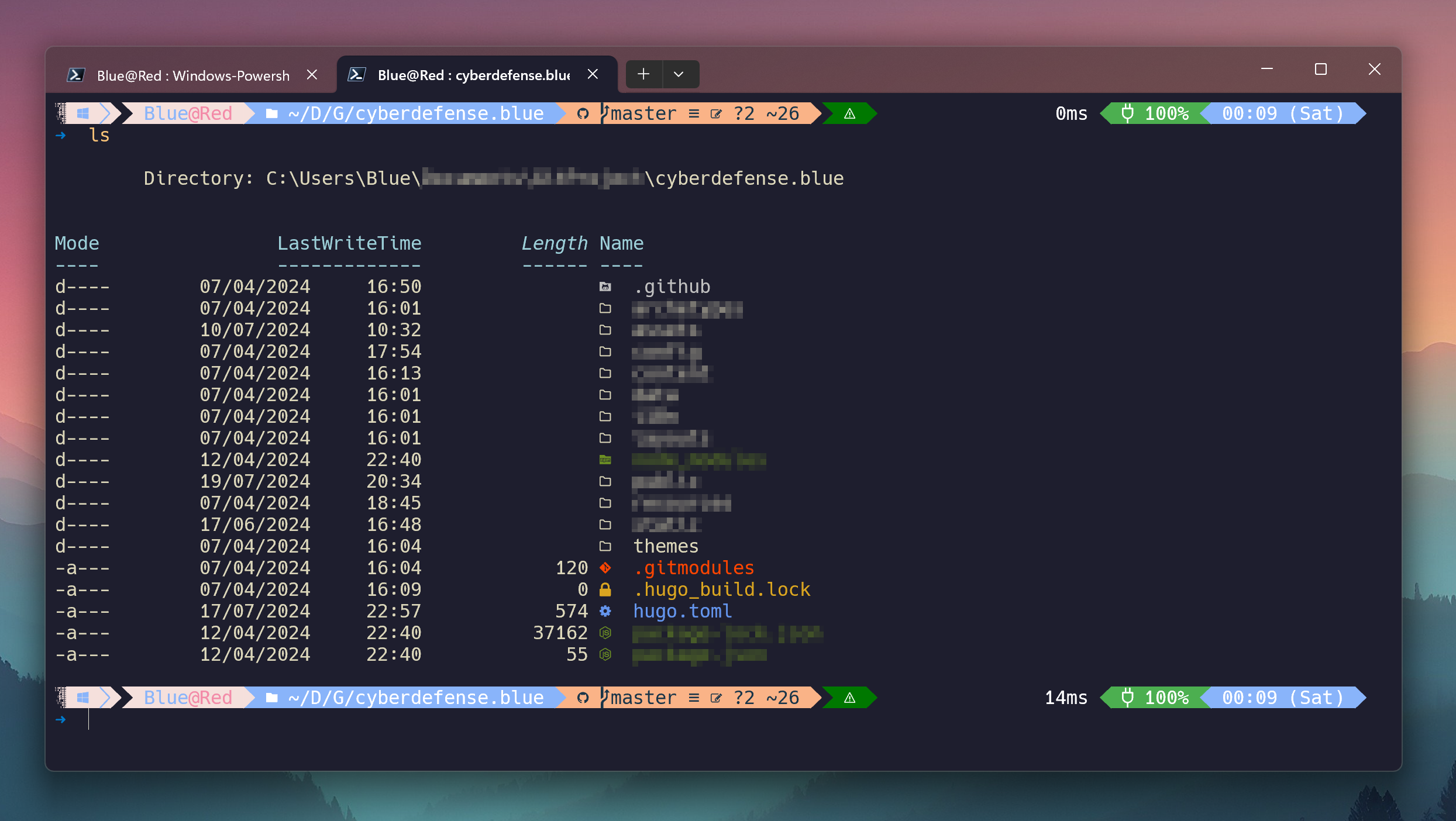 Preview of the Terminal Customisation